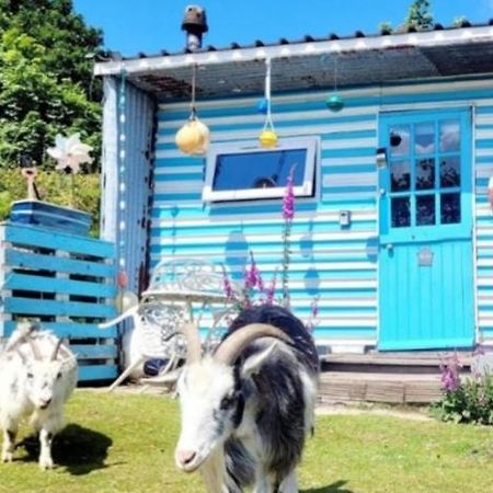 Treguth Glamping Unique Experience - Themed Huts Hotel Saint Day Exterior foto