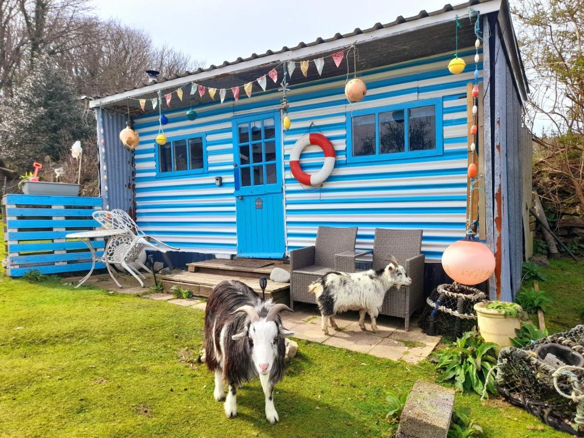 Treguth Glamping Unique Experience - Themed Huts Hotel Saint Day Exterior foto