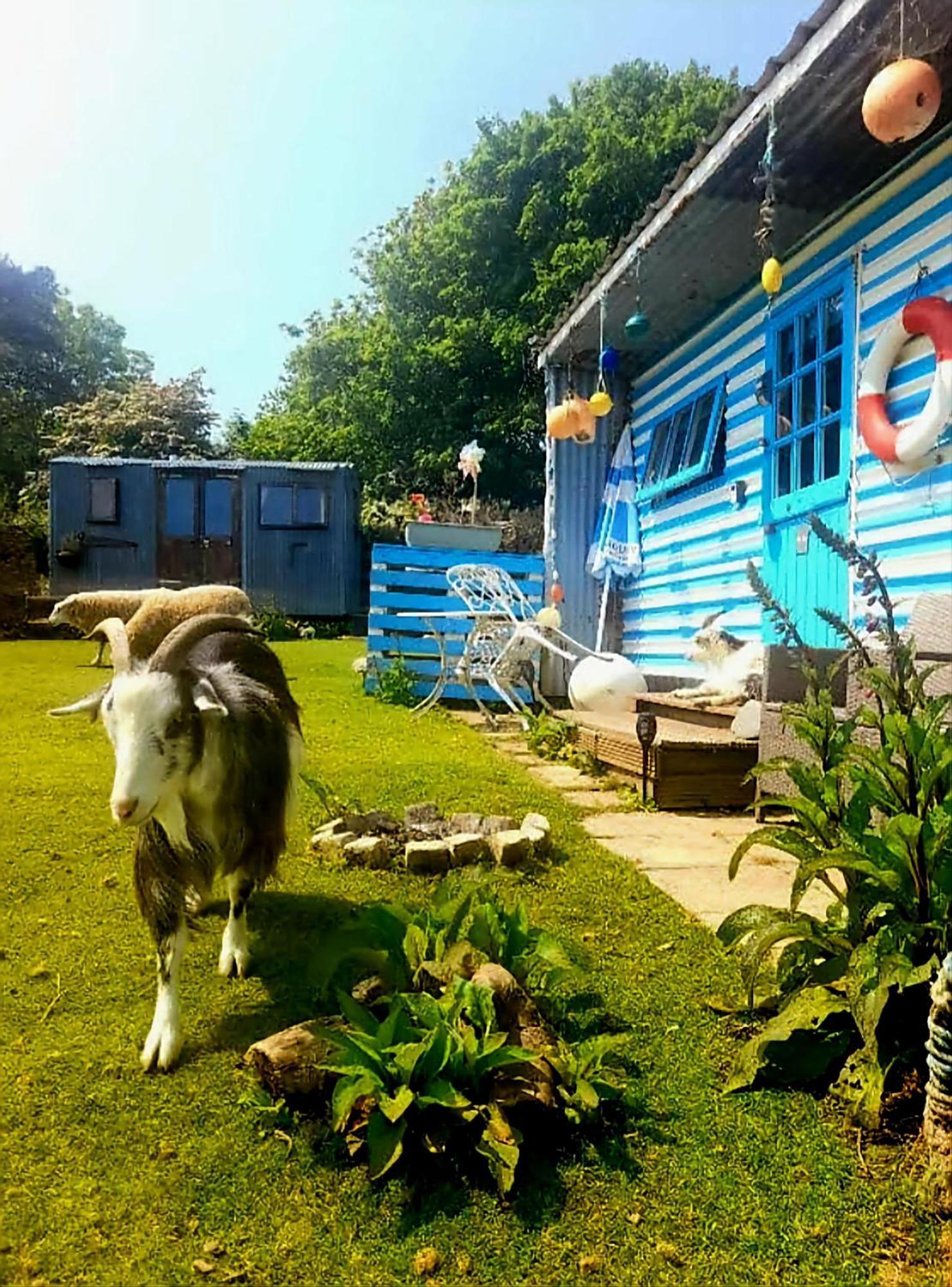 Treguth Glamping Unique Experience - Themed Huts Hotel Saint Day Exterior foto