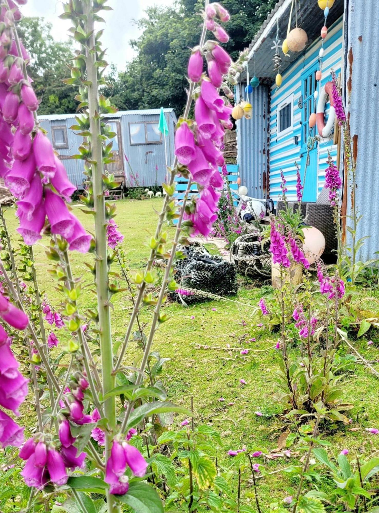 Treguth Glamping Unique Experience - Themed Huts Hotel Saint Day Exterior foto