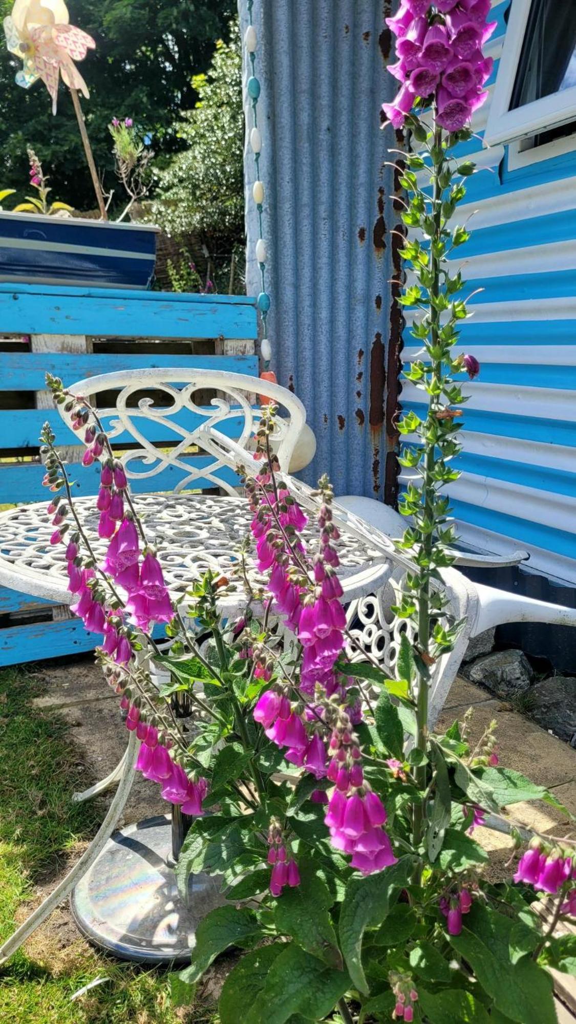 Treguth Glamping Unique Experience - Themed Huts Hotel Saint Day Exterior foto
