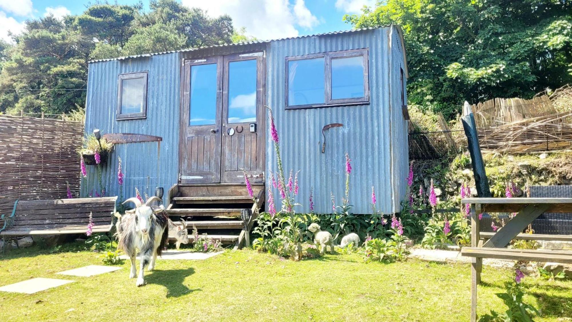 Treguth Glamping Unique Experience - Themed Huts Hotel Saint Day Exterior foto