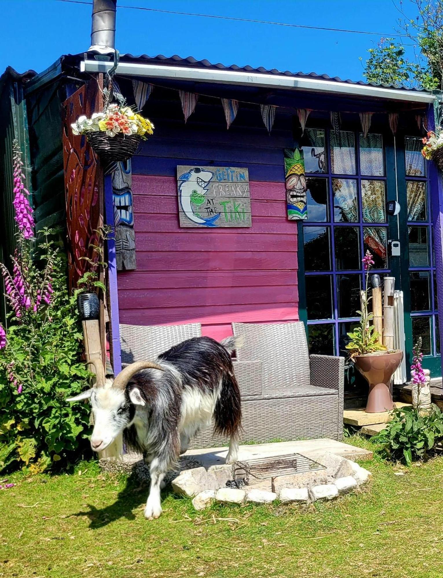 Treguth Glamping Unique Experience - Themed Huts Hotel Saint Day Exterior foto