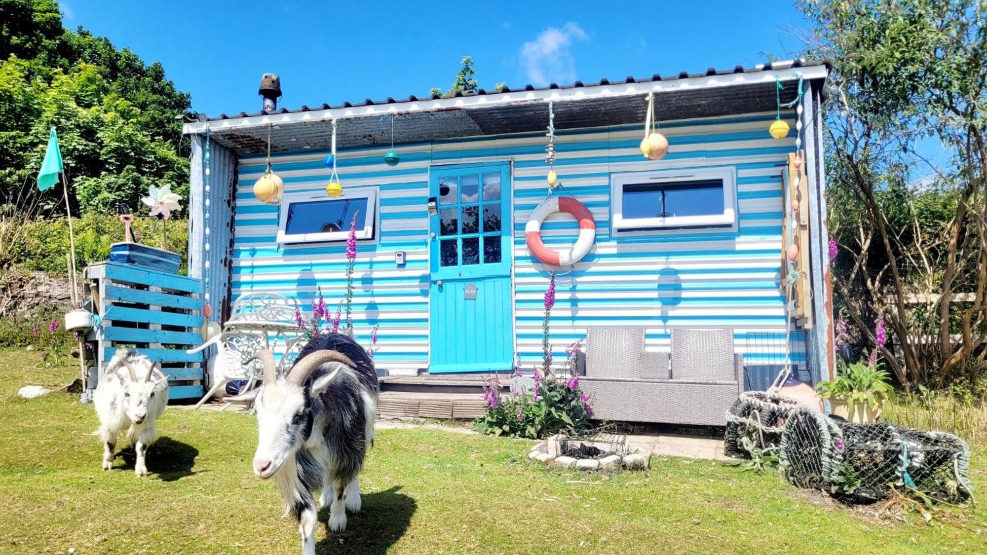 Treguth Glamping Unique Experience - Themed Huts Hotel Saint Day Exterior foto