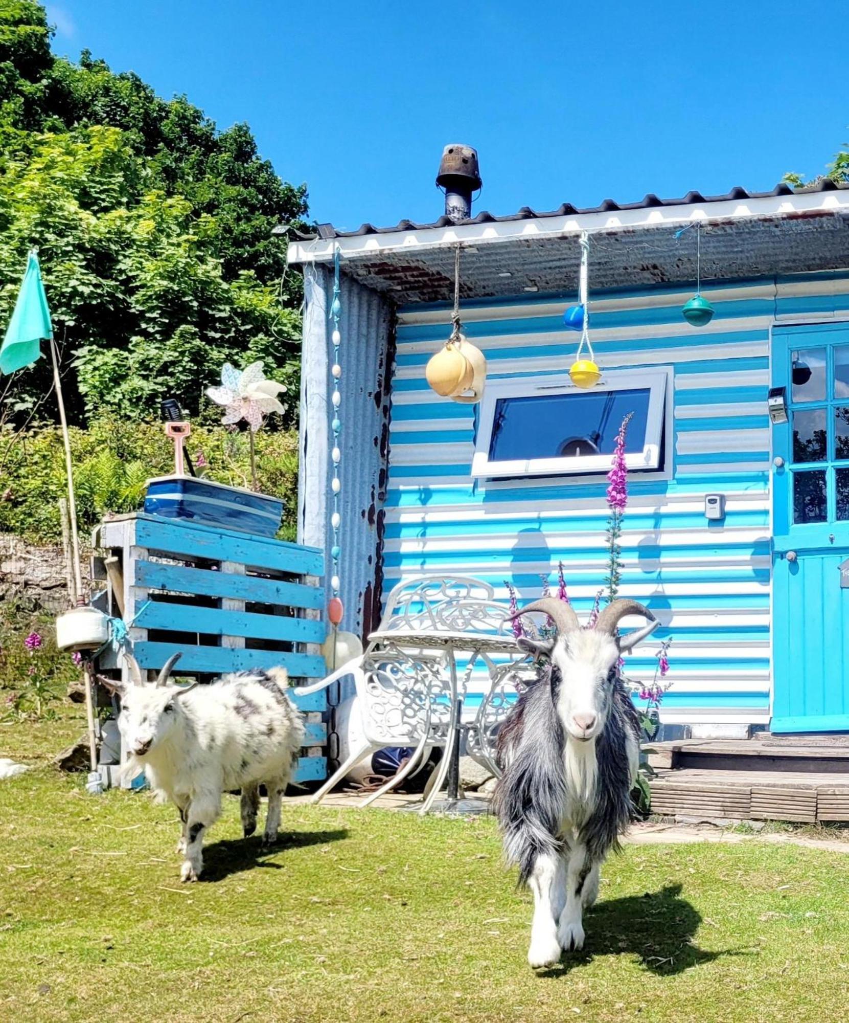 Treguth Glamping Unique Experience - Themed Huts Hotel Saint Day Exterior foto