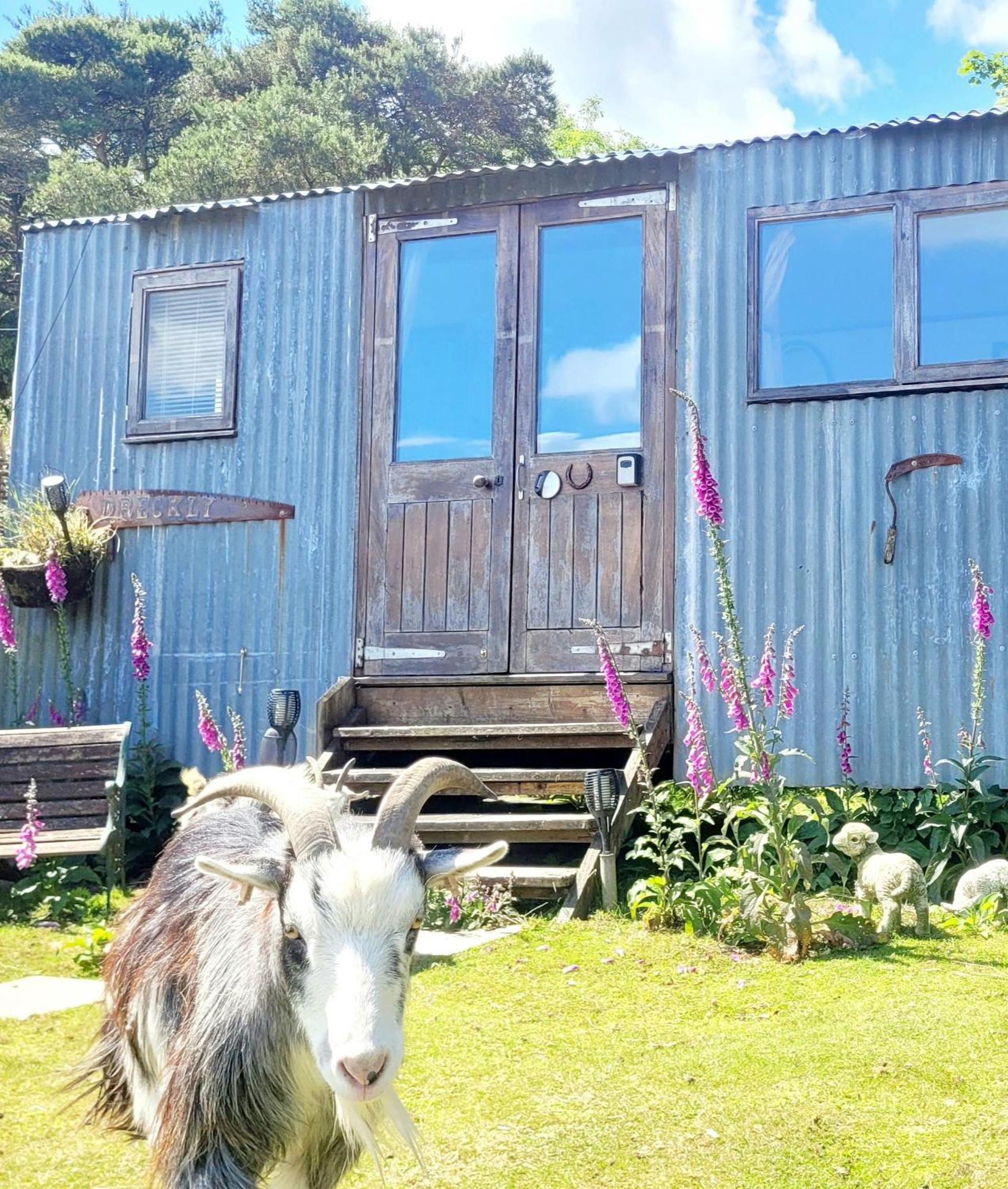 Treguth Glamping Unique Experience - Themed Huts Hotel Saint Day Exterior foto