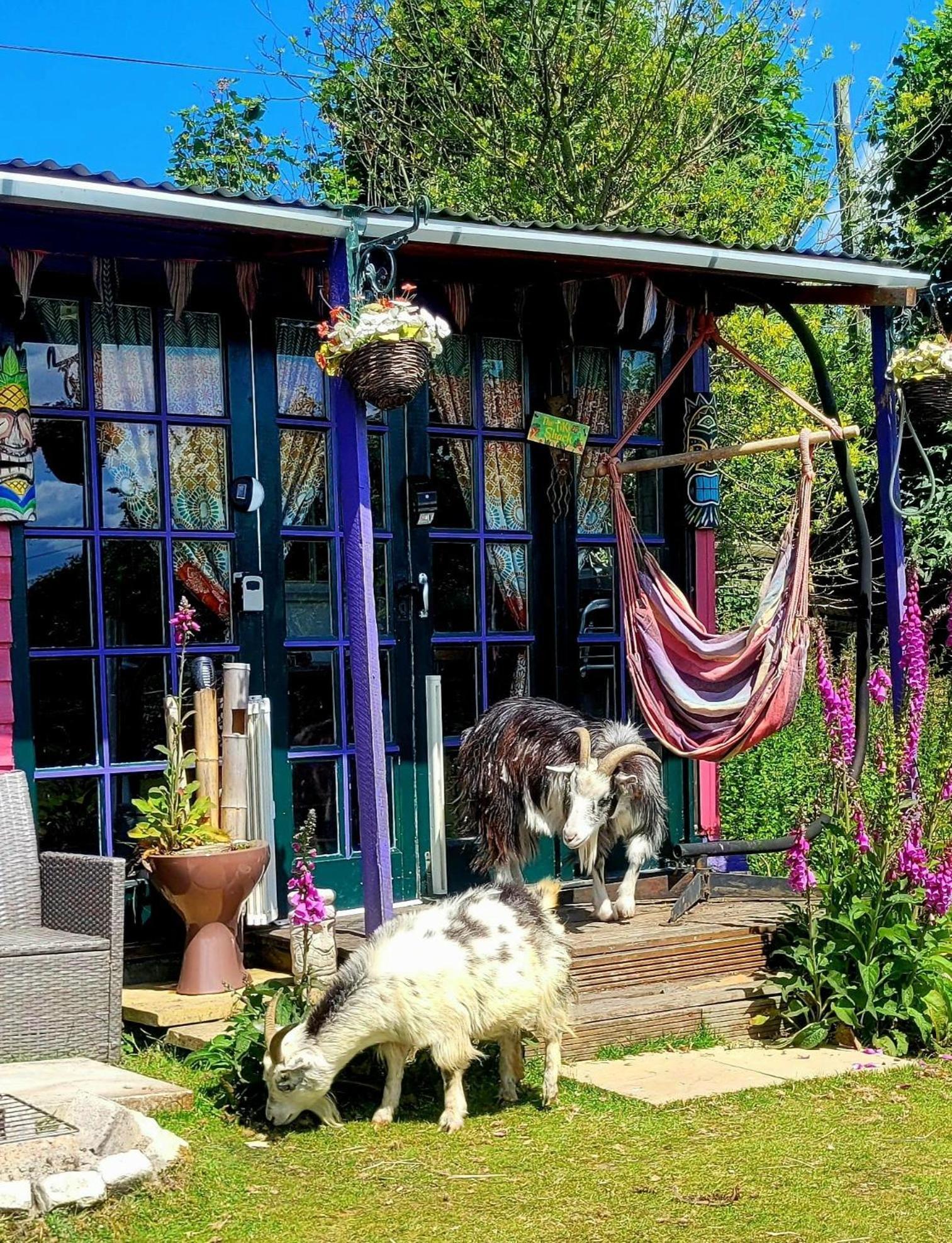 Treguth Glamping Unique Experience - Themed Huts Hotel Saint Day Exterior foto