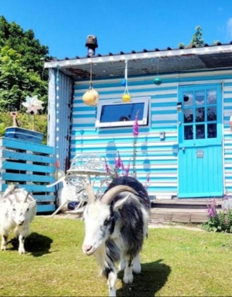 Treguth Glamping Unique Experience - Themed Huts Hotel Saint Day Exterior foto
